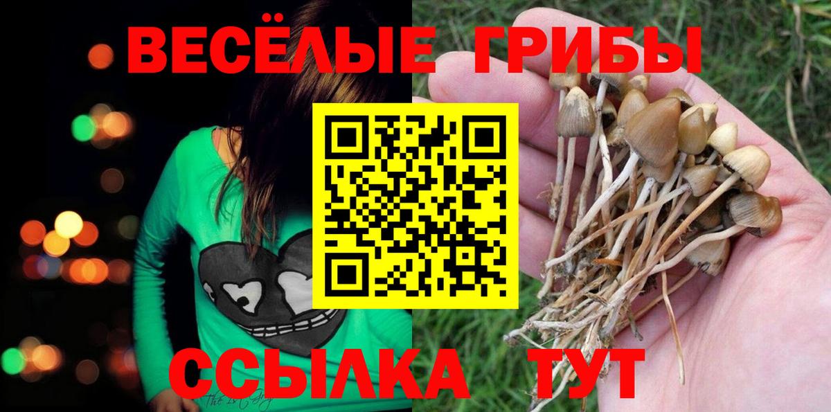 Алатырь  купить  сайты  Вход с VPN  Псилоцибиновые грибы GOLDEN TEACHER 